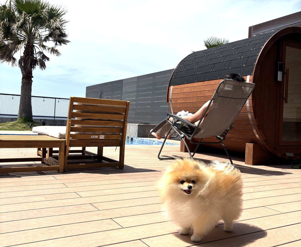 デッキで、愛犬と一緒に潮風を浴びる